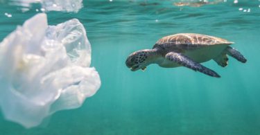 plasticul care ajunge in oceane