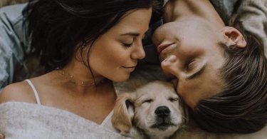 stadii relatii iubire